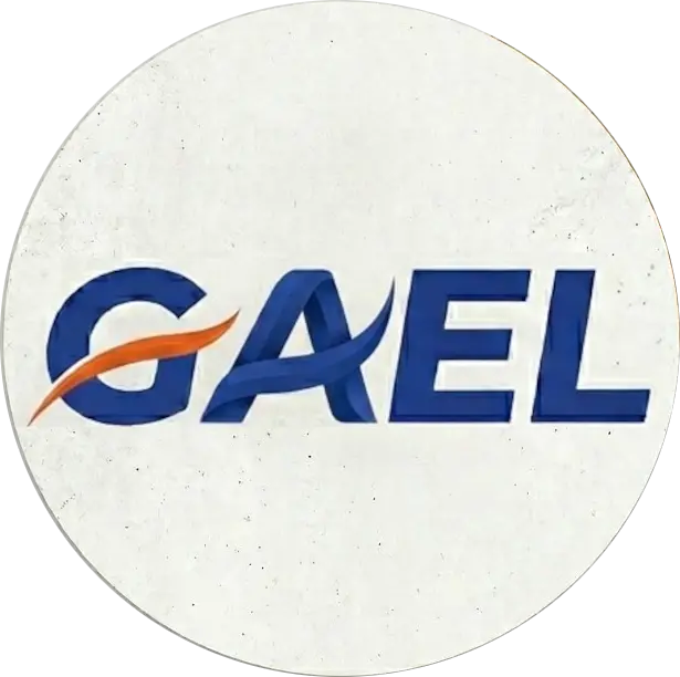 Logo de Gael Shoes